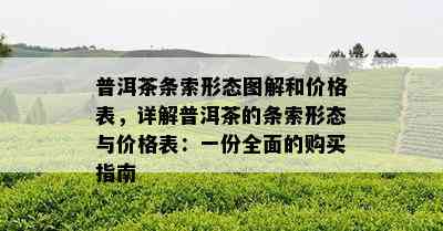 普洱茶条索形态图解和价格表，详解普洱茶的条索形态与价格表：一份全面的购买指南