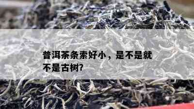 普洱茶条索好小，是不是就不是古树？