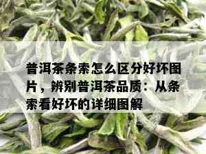 普洱茶条索怎么区分好坏图片，辨别普洱茶品质：从条索看好坏的详细图解