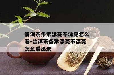 普洱茶条索漂亮不漂亮怎么看-普洱茶条索漂亮不漂亮怎么看出来