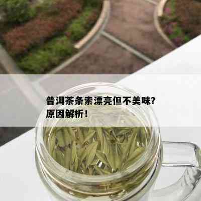 普洱茶条索漂亮但不美味？原因解析！