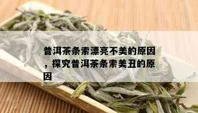 普洱茶条索漂亮不美的原因，探究普洱茶条索美丑的原因