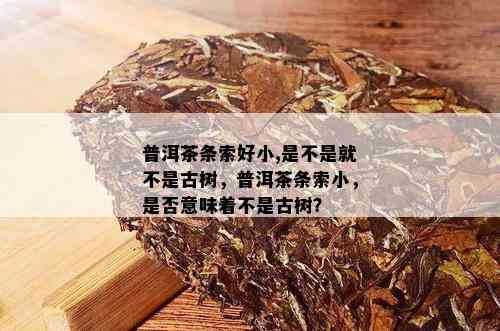 普洱茶条索好小,是不是就不是古树，普洱茶条索小，是否意味着不是古树？