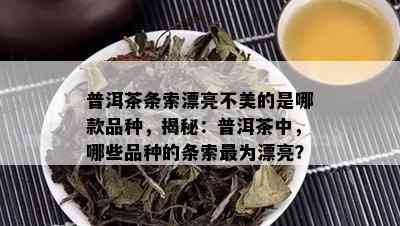 普洱茶条索漂亮不美的是哪款品种，揭秘：普洱茶中，哪些品种的条索最为漂亮？