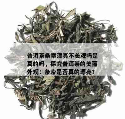 普洱茶条索漂亮不美观吗是真的吗，探究普洱茶的美丽外观：条索是否真的漂亮？