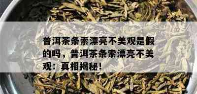 普洱茶条索漂亮不美观是假的吗，普洱茶条索漂亮不美观：真相揭秘！