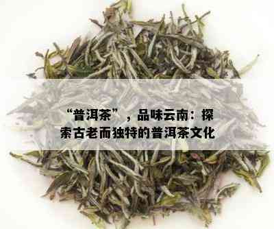 “普洱茶”，品味云南：探索古老而独特的普洱茶文化