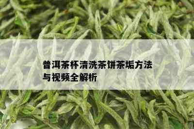 普洱茶杯清洗茶饼茶垢方法与视频全解析