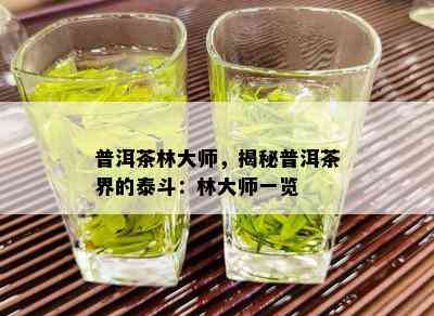 普洱茶林大师，揭秘普洱茶界的泰斗：林大师一览