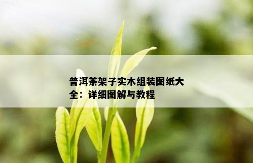 普洱茶架子实木组装图纸大全：详细图解与教程