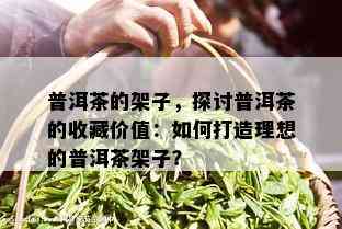 普洱茶的架子，探讨普洱茶的收藏价值：如何打造理想的普洱茶架子？