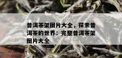 普洱茶架图片大全，探索普洱茶的世界：完整普洱茶架图片大全