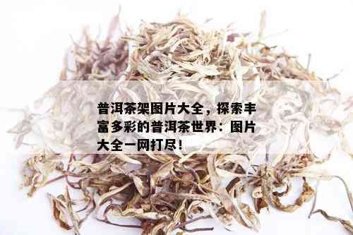 普洱茶架图片大全，探索丰富多彩的普洱茶世界：图片大全一网打尽！