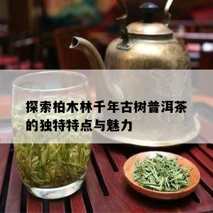 探索柏木林千年古树普洱茶的独特特点与魅力