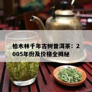 柏木林千年古树普洱茶：2005年份及价格全揭秘