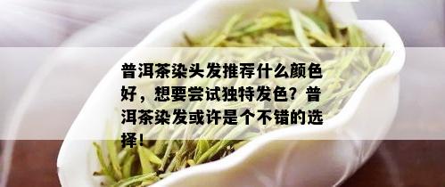 普洱茶染头发推荐什么颜色好，想要尝试独特发色？普洱茶染发或许是个不错的选择！