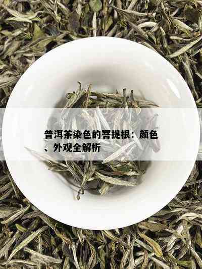 普洱茶染色的菩提根：颜色、外观全解析