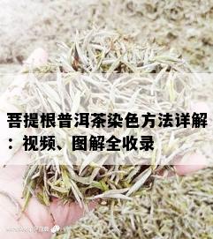 菩提根普洱茶染色方法详解：视频、图解全收录