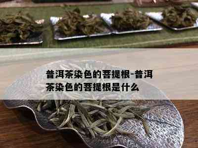 普洱茶染色的菩提根-普洱茶染色的菩提根是什么