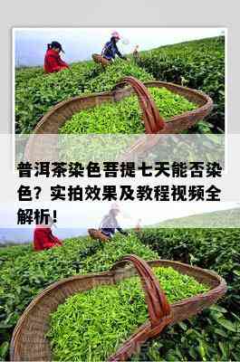 普洱茶染色菩提七天能否染色？实拍效果及教程视频全解析！