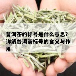 普洱茶的标号是什么意思？详解普洱茶标号的含义与作用