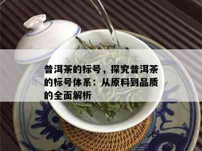 普洱茶的标号，探究普洱茶的标号体系：从原料到品质的全面解析