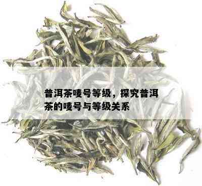 普洱茶唛号等级，探究普洱茶的唛号与等级关系