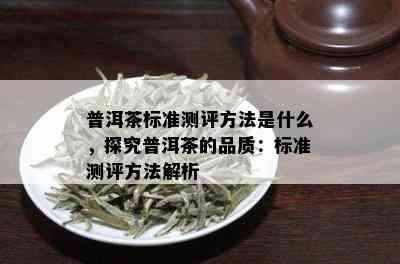 普洱茶标准测评方法是什么，探究普洱茶的品质：标准测评方法解析