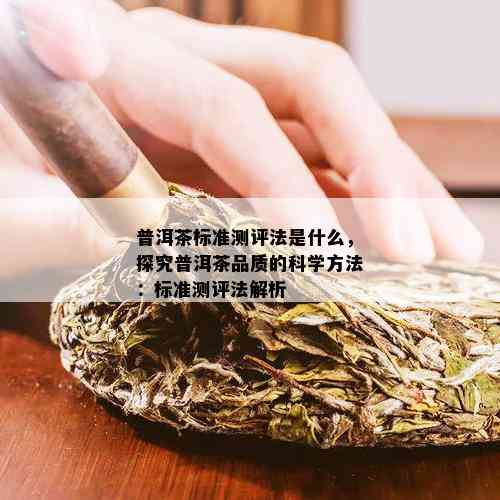 普洱茶标准测评法是什么，探究普洱茶品质的科学方法：标准测评法解析