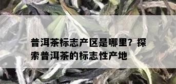 普洱茶标志产区是哪里？探索普洱茶的标志性产地