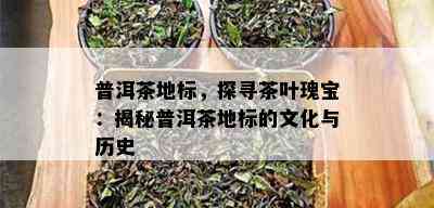 普洱茶地标，探寻茶叶瑰宝：揭秘普洱茶地标的文化与历史