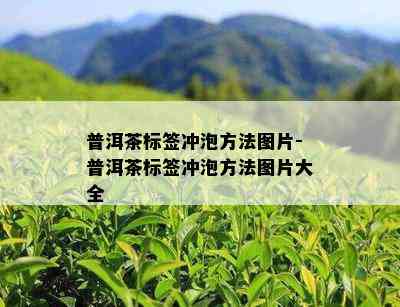 普洱茶标签冲泡方法图片-普洱茶标签冲泡方法图片大全