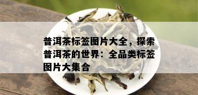 普洱茶标签图片大全，探索普洱茶的世界：全品类标签图片大集合