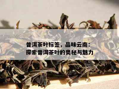 普洱茶叶标签，品味云南：探索普洱茶叶的奥秘与魅力