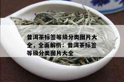 普洱茶标签等级分类图片大全，全面解析：普洱茶标签等级分类图片大全