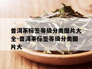 普洱茶标签等级分类图片大全-普洱茶标签等级分类图片大