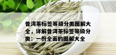 普洱茶标签等级分类图解大全，详解普洱茶标签等级分类：一份全面的图解大全