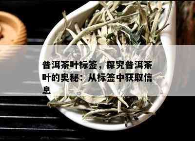 普洱茶叶标签，探究普洱茶叶的奥秘：从标签中获取信息