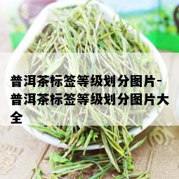 普洱茶标签等级划分图片-普洱茶标签等级划分图片大全