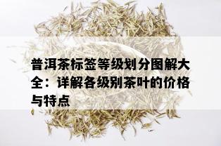 普洱茶标签等级划分图解大全：详解各级别茶叶的价格与特点