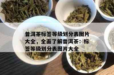 普洱茶标签等级划分表图片大全，全面了解普洱茶：标签等级划分表图片大全