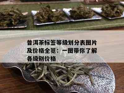 普洱茶标签等级划分表图片及价格全览：一图带你了解各级别价格