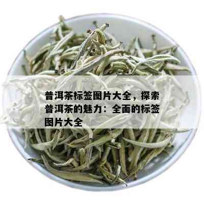 普洱茶标签图片大全，探索普洱茶的魅力：全面的标签图片大全