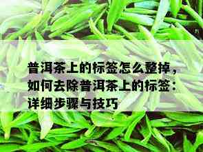 普洱茶上的标签怎么整掉，如何去除普洱茶上的标签：详细步骤与技巧