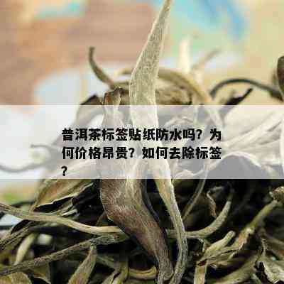 普洱茶标签贴纸防水吗？为何价格昂贵？如何去除标签？