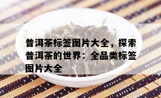 普洱茶标签图片大全，探索普洱茶的世界：全品类标签图片大全