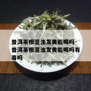 普洱茶根混浊发黄能喝吗-普洱茶根混浊发黄能喝吗有吗