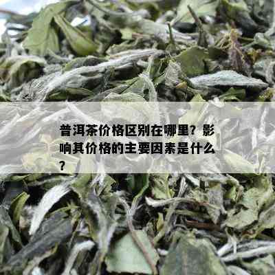 普洱茶价格区别在哪里？影响其价格的主要因素是什么？