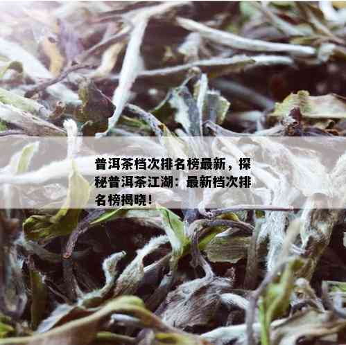 普洱茶档次排名榜最新，探秘普洱茶江湖：最新档次排名榜揭晓！