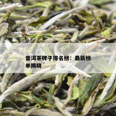 普洱茶牌子排名榜：最新榜单揭晓